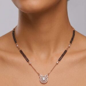 WhatsApp Image 2026-03-25 at 6.17.44 PM (1)